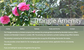 Triangle Amenity